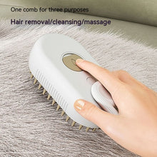 Load image into Gallery viewer, Fur Fusion™ - Pet Steam Brush
